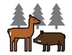 Icon Waldtiere