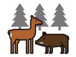 Icon Waldtiere