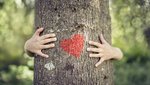 Ein Kind umarmt einen Baumstamm, der mit einem Herz bemalt ist