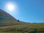 Kinder wandern am Teckberg