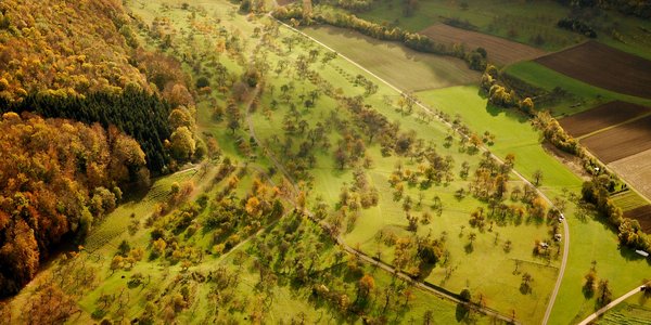 Streuobstwiesen im Neidlinger Tal