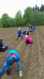 Kinder säen Samen auf einem Feld