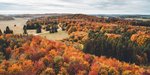 Blick auf Wald im Herbst