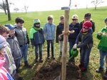 Kinder gießen den neu gepflanzten Baum an
