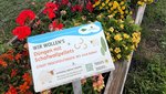 Kübelbepflanzung mit bunten Blumen in Trochtelfingen
