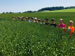 Kinder stehen in einem hochgewachsenen Feld an einem sommerlichen Tag