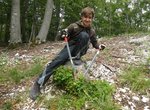 Ein jugendlicher Ranger pflegt den Wald