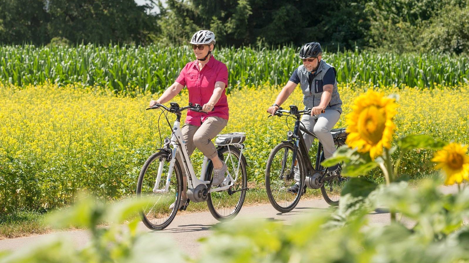 Zwei Radfahrer fahren zwischen Blumenfelder entlang