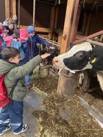 Kinder im Kuhstall