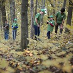 Kinder erkunden den Wald