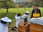 Jugendliche arbeiten an Bienenständen