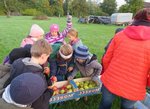 Kinder sammeln Äpfel