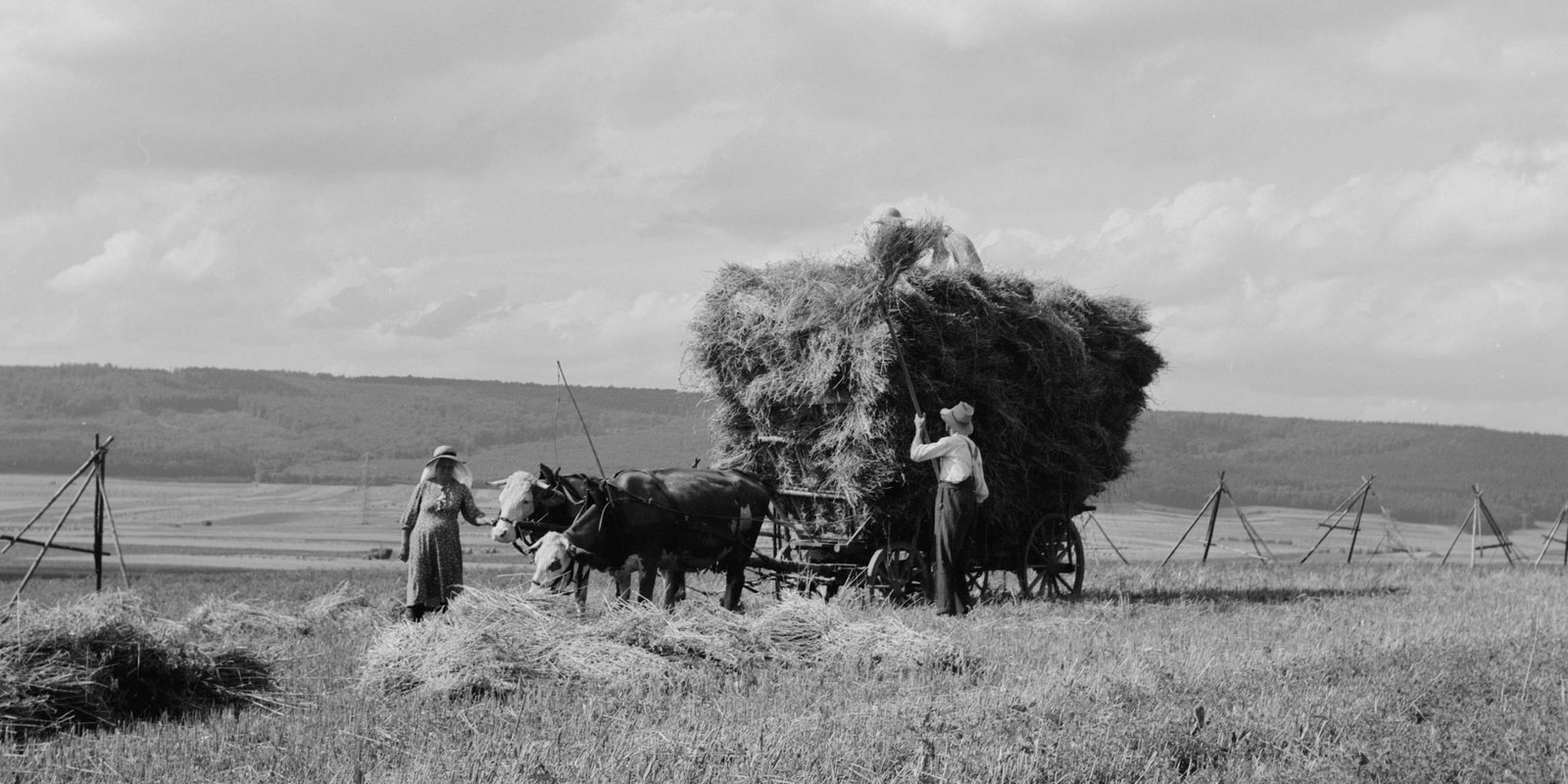 historische Heuernte