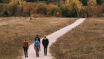 4 Personen wandern auf einem Weg Richtung Herbstwald auf dem ehemaligen Truppenübungsplatz