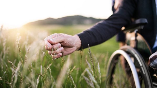 Ein Mann in einem Rollstuhl fährt über die Wiesen und berührt die Gräser