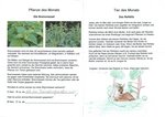 Schulflyer mit Pflanze und Tier des Monats