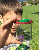 Junge mit Insekten im Glas