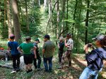 Eine Gruppe Jugendlicher sehen den Waldarbeitern dabei zu, wie ein Baum entastet wird