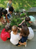 Die Schülerinnen und Schüler können im Schulgarten eine Vielzahl von Pflanzen entdecken