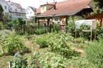 Ansicht des Schulgartens der Seyboldschule