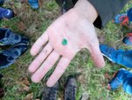 Kind zeigt Schnecke auf der Hand