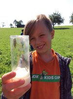 Kind zeigt gefangene Insekten in einem Glas