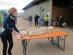 Ein Tisch voller Wolle wird sortiert