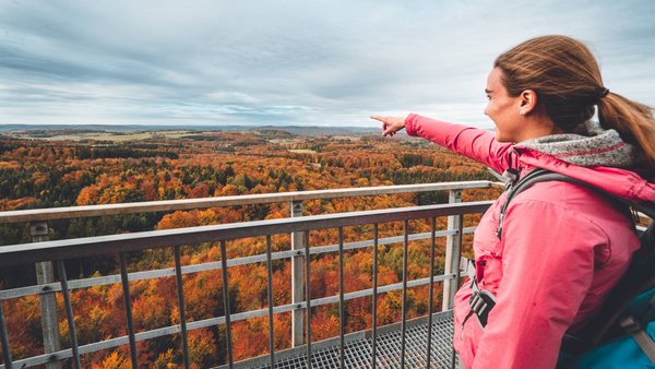 Aussicht vom Turm Heroldstatt auf Waldgebiet