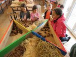 Kinder bauen Insektenhotel