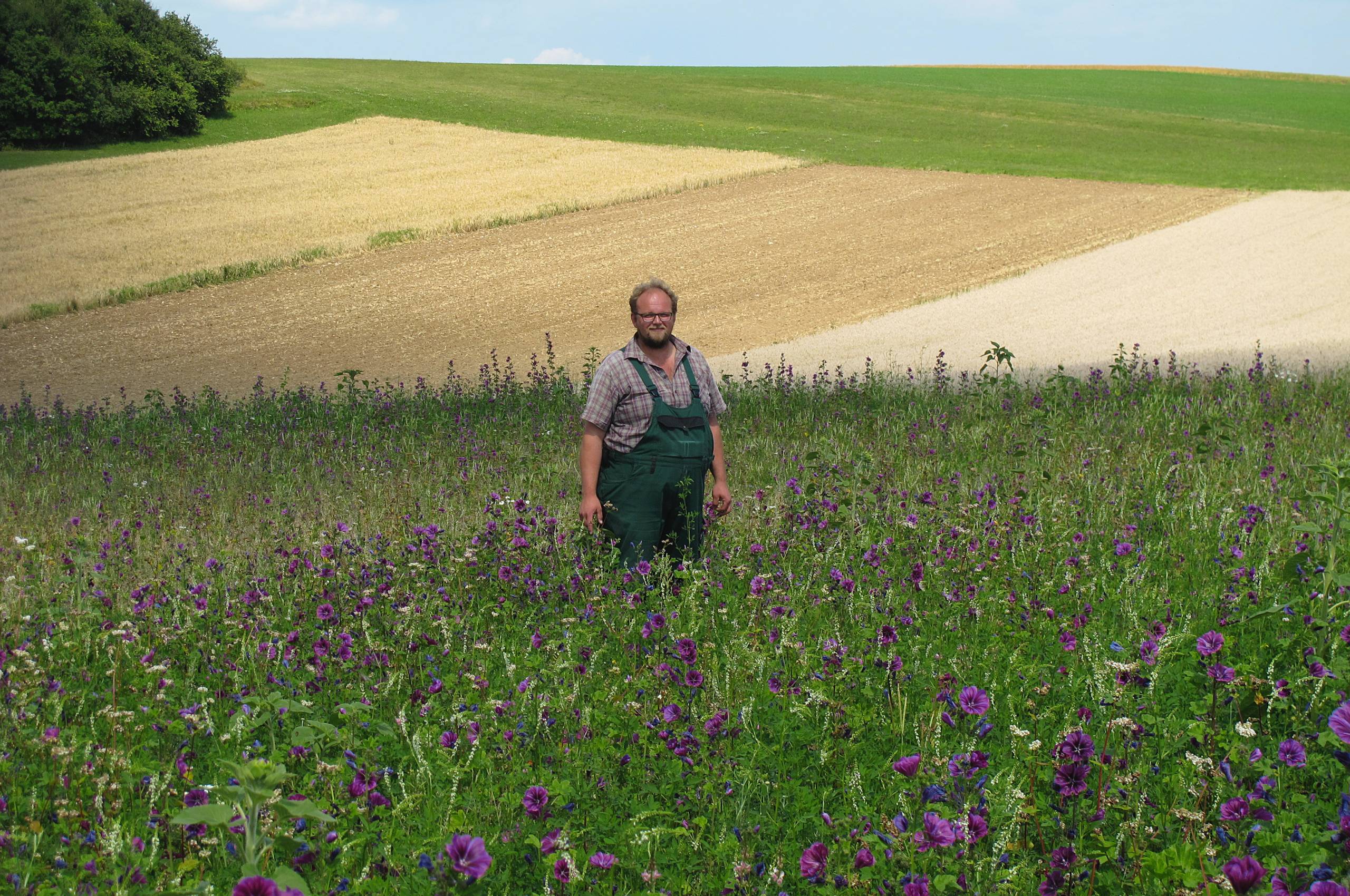 Landwirt auf einer Blumenwiese