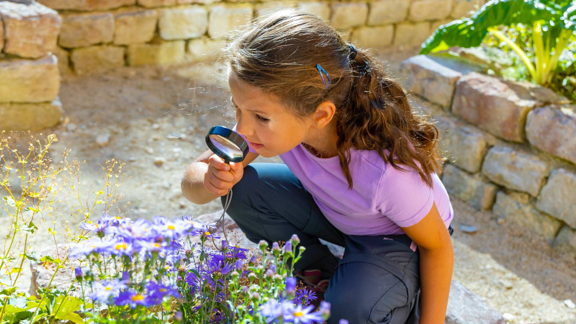 Ein Mädchen beobachtet durch eine Lupe violette Blumen