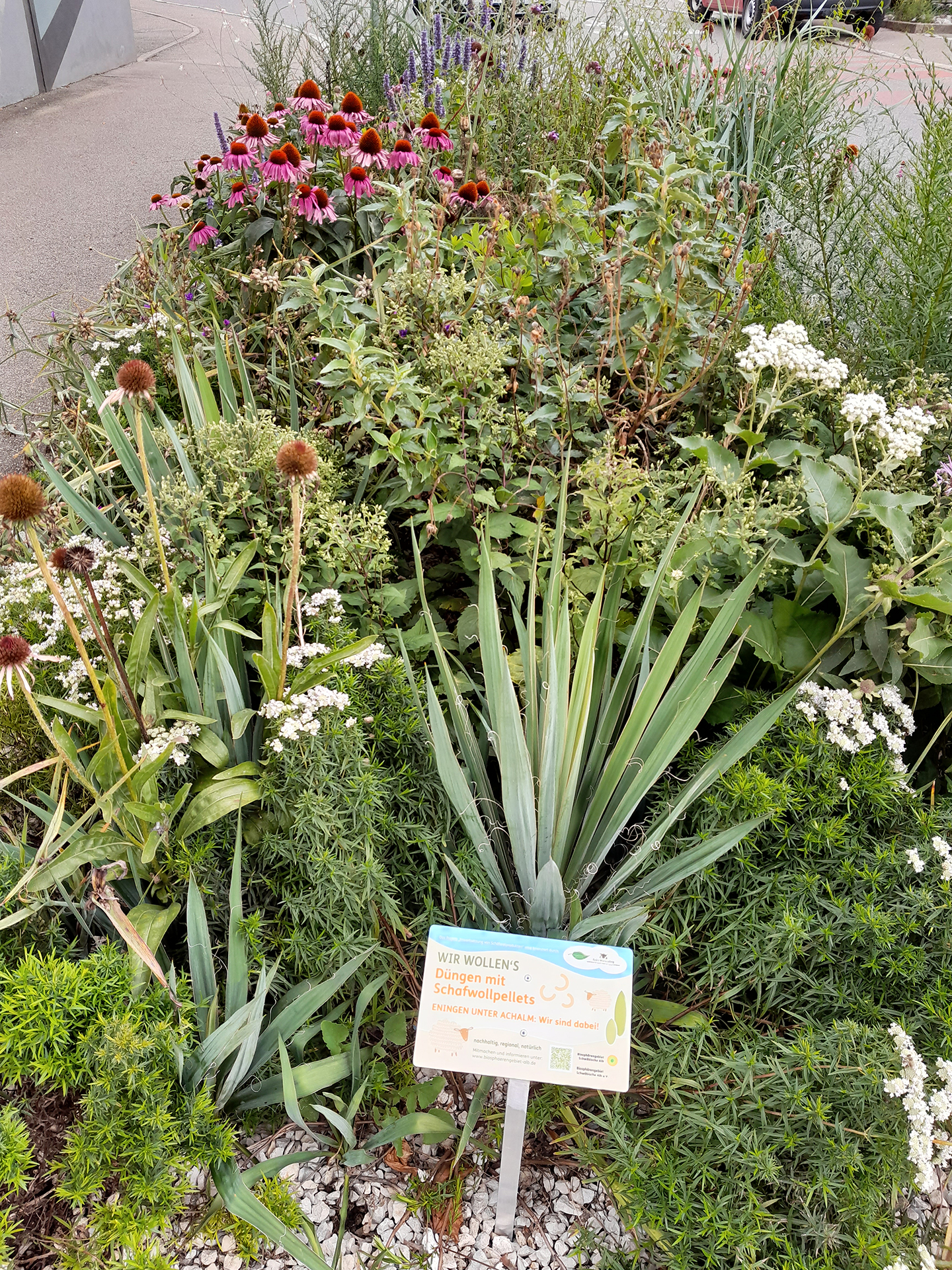 Staudenbepflanzung in Eningen unter Achalm, Düngung mit Schafwollpellets